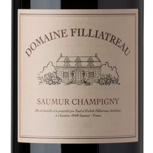 Saumur Champigny, Domaine Filliatreau 2020